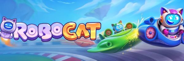 Formularz depozytu BLIK i lista metod płatności w Robocat Casino